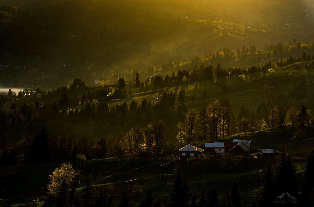 Pensiunea Lac Kolibica Kültér fotó