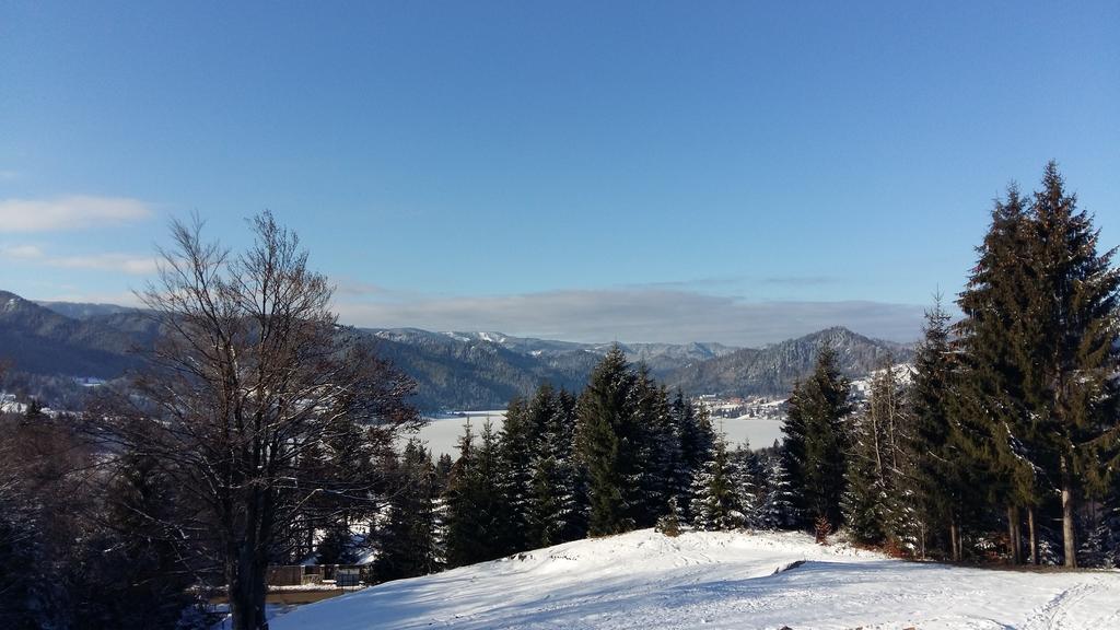 Pensiunea Lac Kolibica Kültér fotó